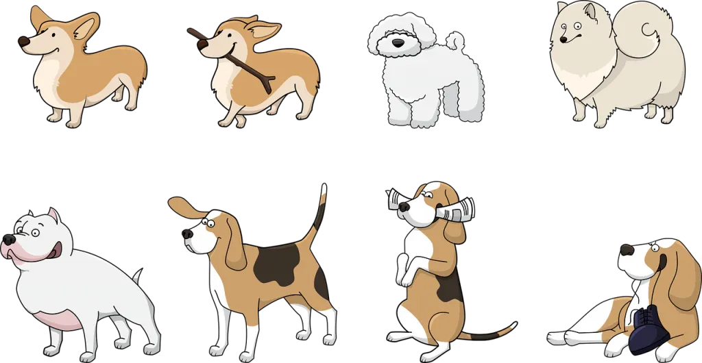 ▶ Achat laisse de dressage chien pas cher | Avis et Conseil