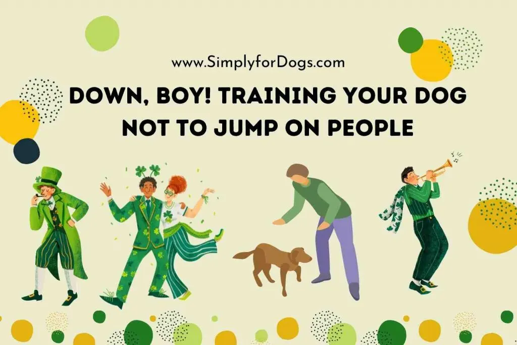 Comment socialiser un chien avec les enfants ?