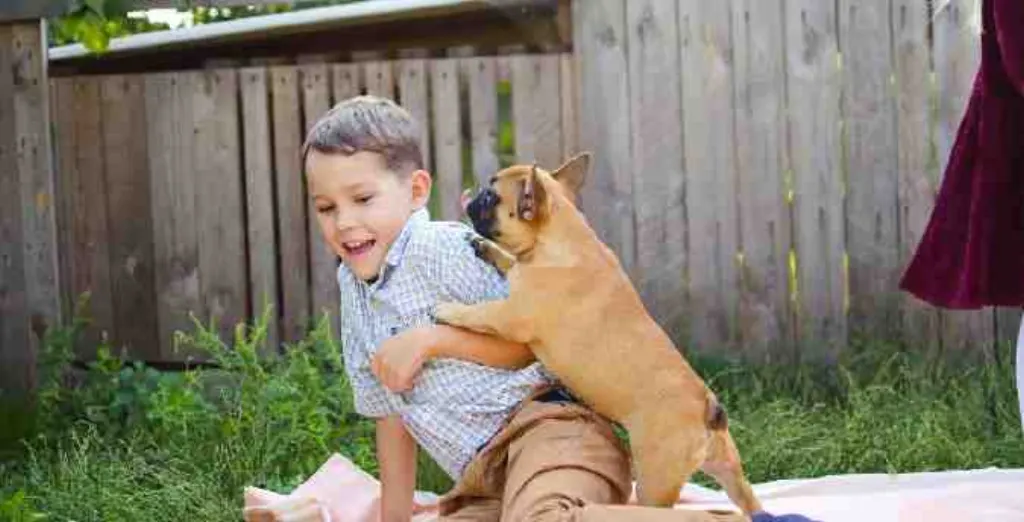 Pourquoi ma chienne essayé de me faire l'amour ?