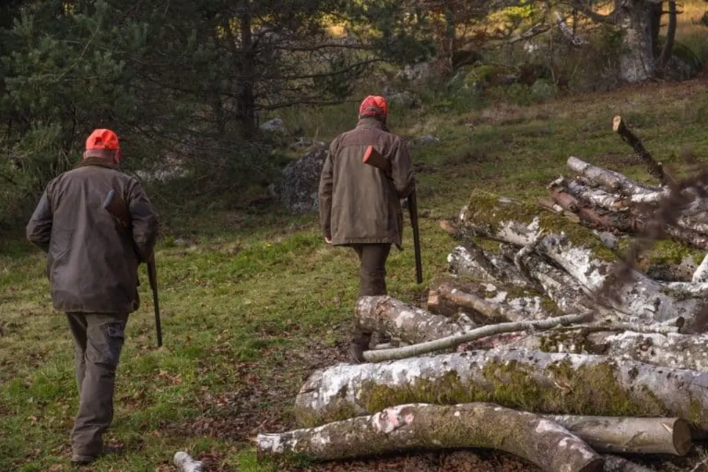 découvrez l'univers captivant de 'hunter', une aventure palpitante aux confins de la nature où les chasseurs affrontent des défis extrêmes. plongez dans un monde de exploration, de survie et de stratégie.
