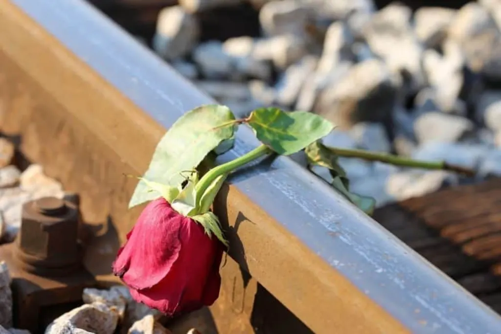 découvrez la profondeur émotionnelle de la tragédie, un genre littéraire et théâtral qui explore les thèmes de la souffrance, de la perte et de la fatalité. plongez dans des œuvres poignantes qui interrogent la condition humaine et révèlent les luttes intérieures des personnages.