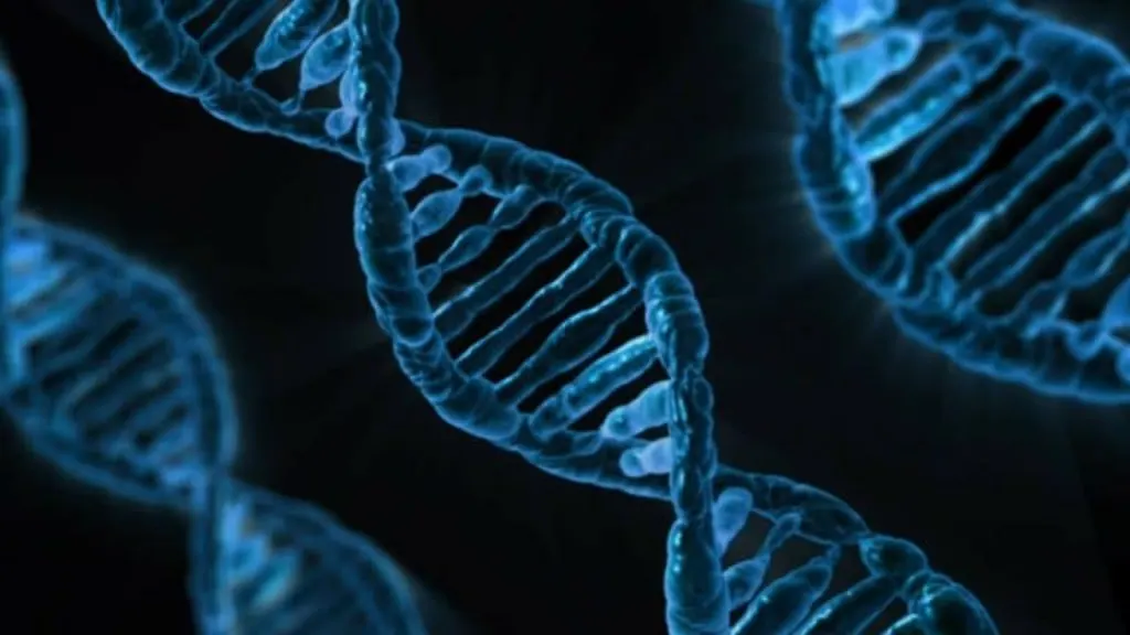 découvrez les tests adn : une solution simple et fiable pour explorer vos origines, établir des liens de parenté et obtenir des réponses sur votre héritage génétique. faites le premier pas vers la connaissance de soi aujourd'hui !