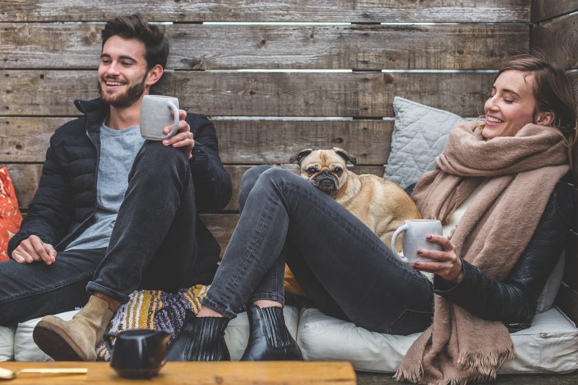 ▶ comment choisir son assurance pour chien, Assurance Animaux Pas Cher, Comparatifs Gratuits
