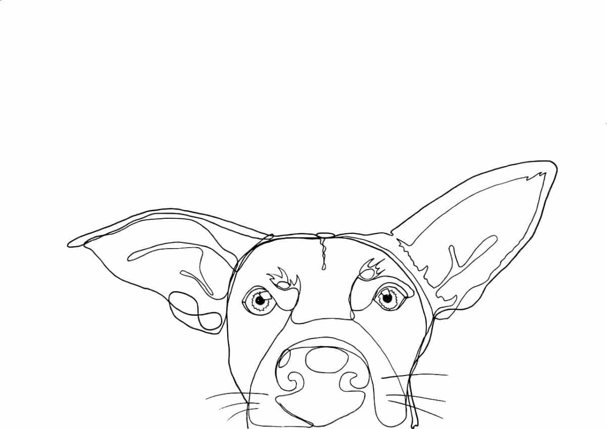 découvrez tout sur les chiens : conseils d'éducation, soins, nutrition et comportements. que vous soyez propriétaire ou passionné, plongez dans l'univers canin et apprenez à mieux comprendre votre fidèle compagnon.