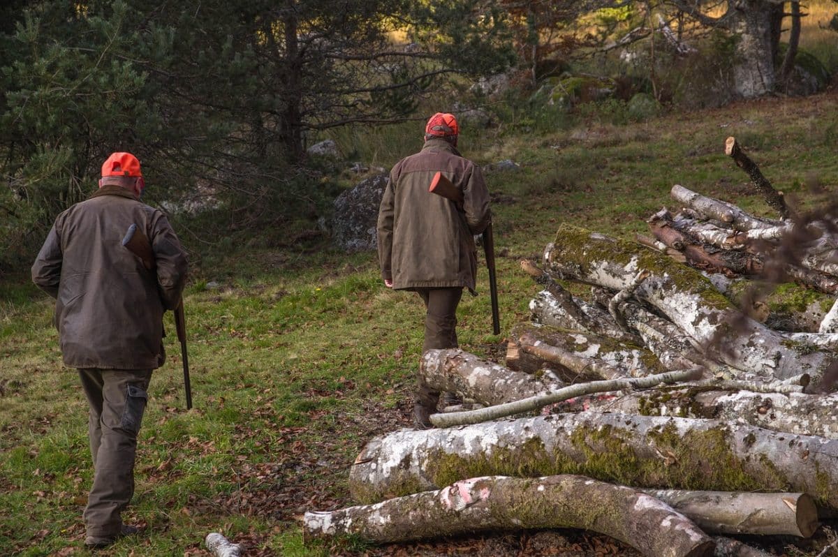 Le chasseur responsable de la mort d’Aslan, le chien-loup, s’est ouvertement dénoncé aux autorités