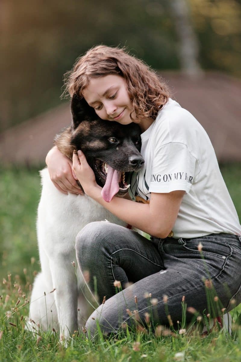 Propriétaires de chiens, méfiez-vous de cette pratique prohibée qui pourrait vous coûter cher lors de vos balades