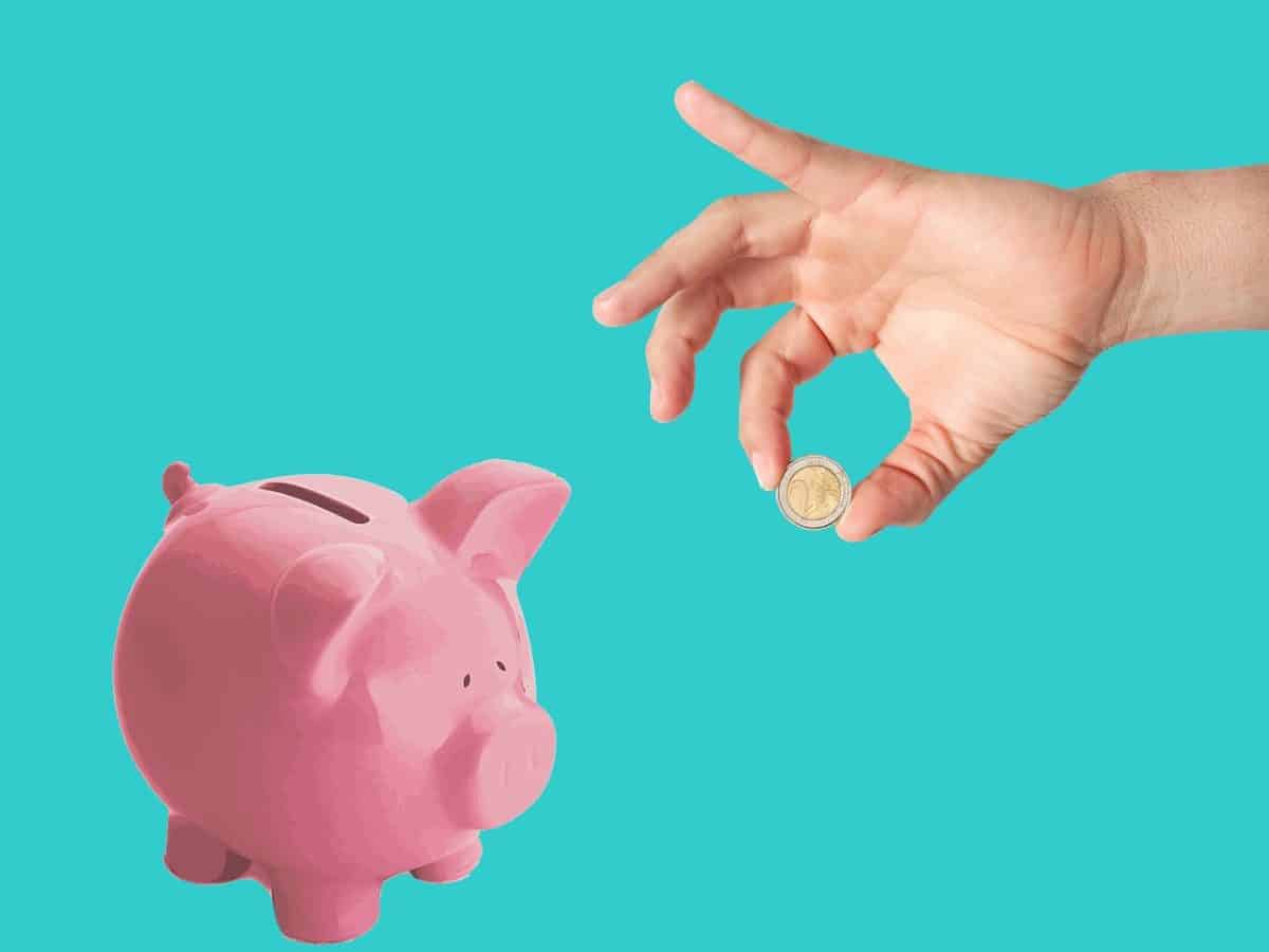 découvrez comment gérer efficacement votre budget pour la nourriture de votre animal de compagnie. des conseils pratiques et des astuces pour choisir des aliments de qualité sans vous ruiner.