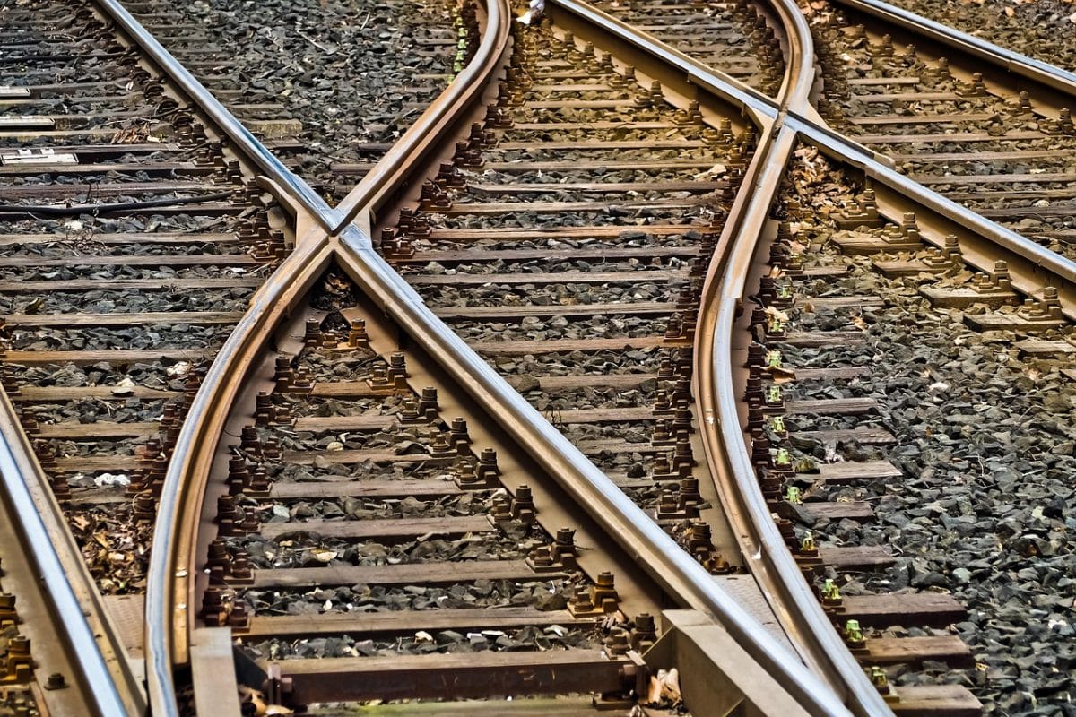 Découvrez les meilleurs opérateurs ferroviaires et itinéraires d’Europe pour voyager avec votre compagnon à quatre pattes