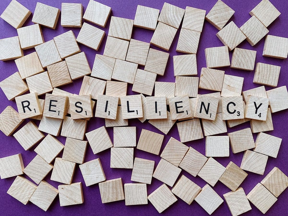 découvrez le concept de résilience : comment développer votre capacité à surmonter les défis et à rebondir après les épreuves. explorez des strategies pratiques pour renforcer votre bien-être émotionnel et mental.