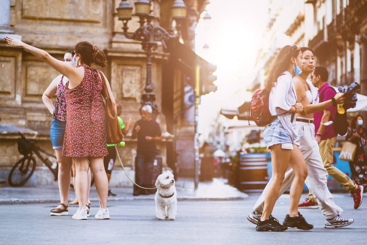 Il investit 14 000€ pour adopter une vie de chien, le résultat est surprenant