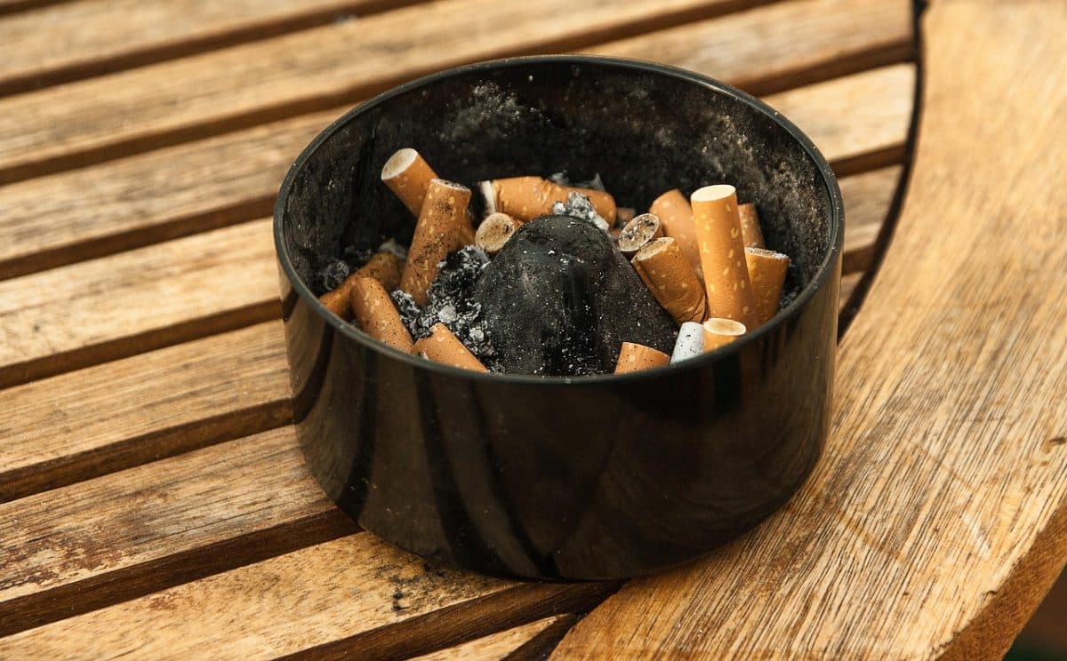 À Lorient, le tabac n’est plus le bienvenu : ramasser les mégots comme on le fait pour les crottes de chien