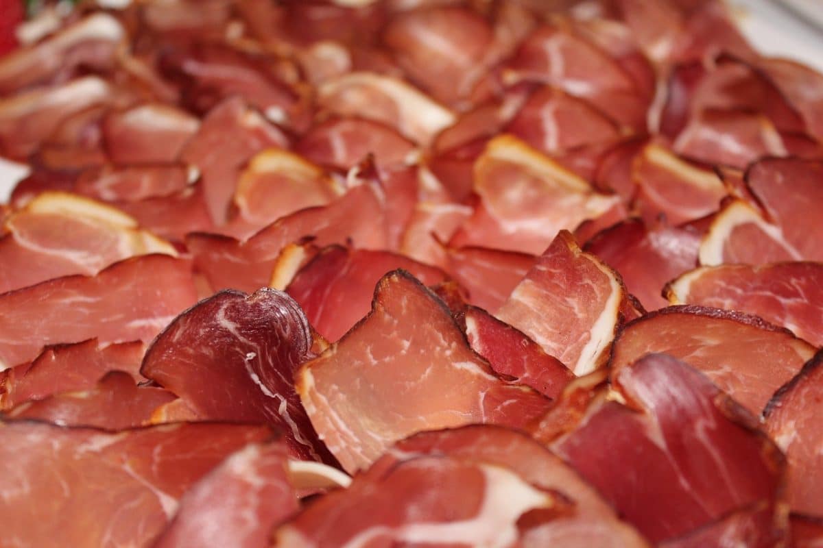 découvrez les enjeux et les implications de l'interdiction de la consommation de viande de chien. explorez les aspects culturels, éthiques et légaux de ce débat sociétal en pleine évolution.