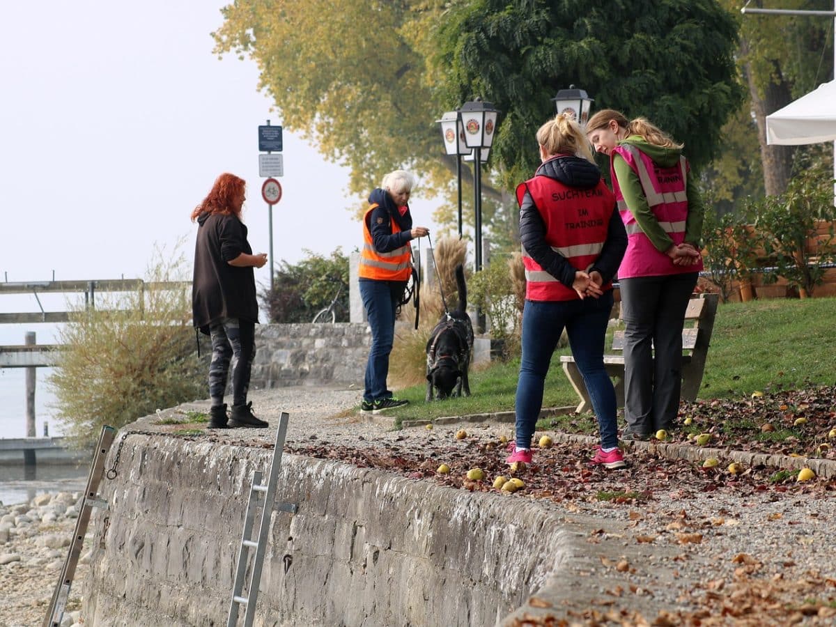 découvrez le mantrailing, une méthode fascinante de recherche de personnes grâce aux capacités olfactives exceptionnelles des chiens. apprenez les techniques et les avantages de cette discipline qui allie travail d'équipe et passion pour l'animal. parfait pour les professionnels de la sécurité ou les amateurs à la recherche d'une nouvelle activité enrichissante.