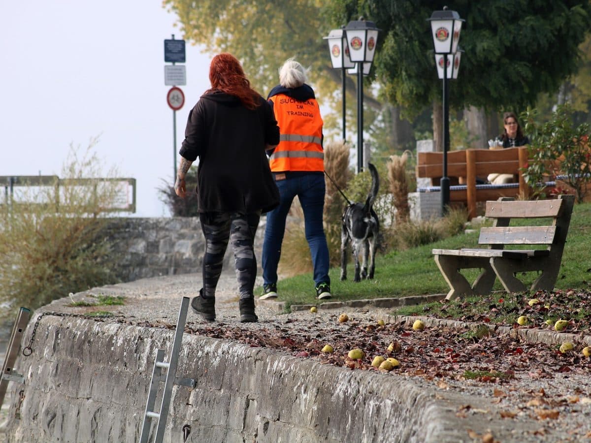 Découvrez le mantrailing : une activité de pistage pour renforcer les liens avec votre chien