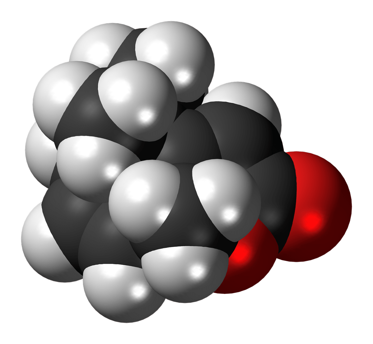 découvrez le pouvoir des phéromones : séductrices et naturelles, ces substances chimiques influencent notre comportement et nos émotions. apprenez comment elles peuvent enrichir vos relations et attirer l'attention de manière invisible.