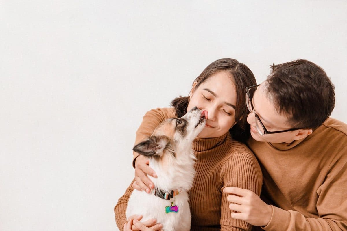 découvrez notre gamme de muselières confortables et sécurisées pour chiens. assurez-vous que votre animal de compagnie reste protégé et heureux lors de vos promenades. options ajustables et adaptées à toutes les tailles, parfaites pour le dressage et les visites chez le vétérinaire.